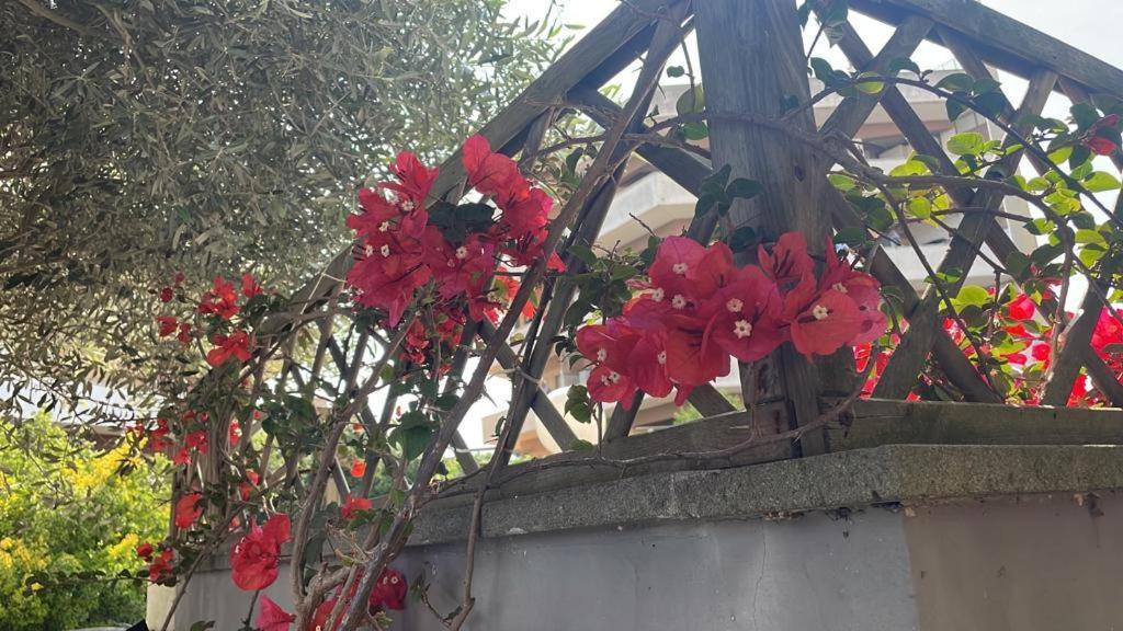 Appartamento Casa Adele Torvaianica Esterno foto